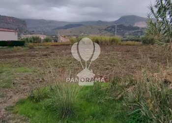 Terreno agricolo Rurale, Partinico - foto 1