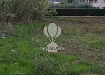 Terreno agricolo Rurale, Partinico - foto 3