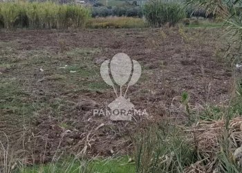 Terreno agricolo Rurale, Partinico - foto 4