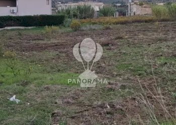 Terreno agricolo Rurale, Partinico - foto 5