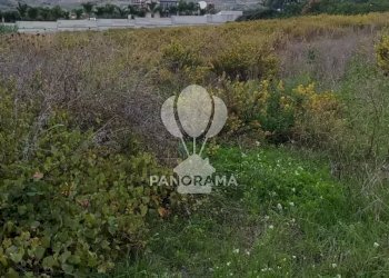 Terreno agricolo Rurale, Partinico - foto 7