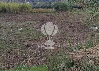 Terreno agricolo Rurale, Partinico - foto 8