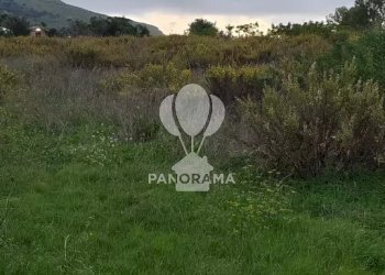 Terreno agricolo Rurale, Partinico - foto 9