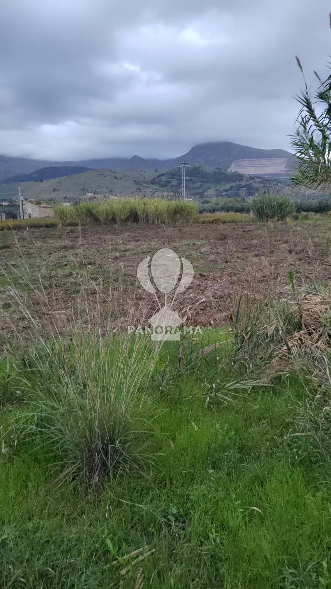 Terreno agricolo Rurale, Partinico - foto 2