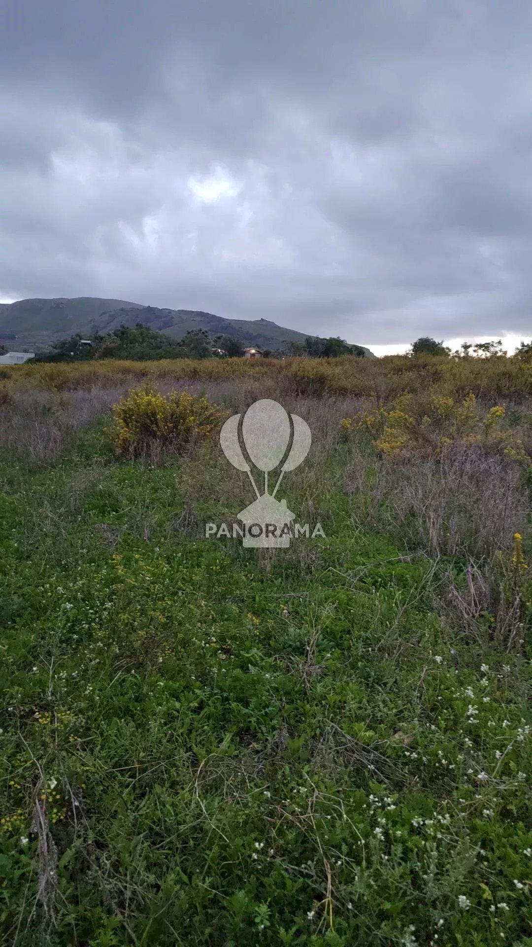 Terreno agricolo Rurale, Partinico - foto 3