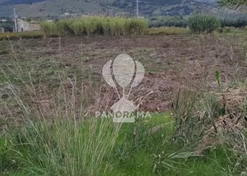 Terreno agricolo Rurale, Partinico - foto 2