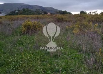 Terreno agricolo Rurale, Partinico - foto 3