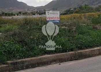 Terreno agricolo Rurale, Partinico - foto 4