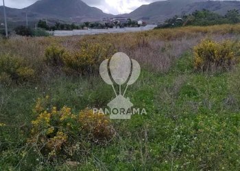 Terreno agricolo Rurale, Partinico - foto 5