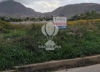 Terreno agricolo Rurale, Partinico - foto 6