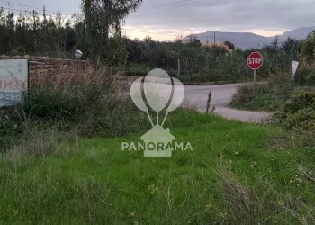 Terreno agricolo Rurale, Partinico - foto 8