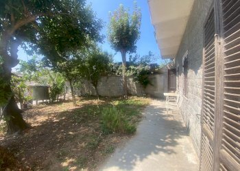 Rustico Virle Piemonte - foto 8