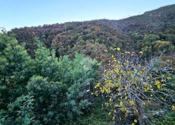 Rustico Via Proratado, Genova - foto 2