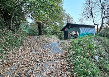 Rustico Via Proratado, Genova - foto 13