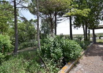 Independent house Via Misano Adriatico, San Clemente - photo 23