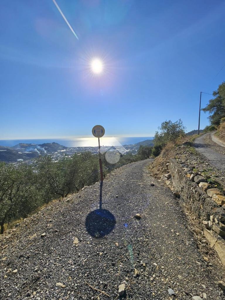 Agricultural land Regione Tuvi, Taggia - photo 2