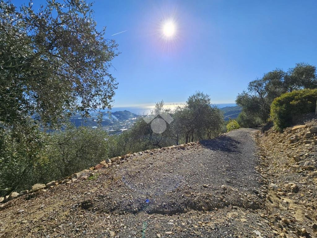 Agricultural land Regione Tuvi, Taggia - photo 3