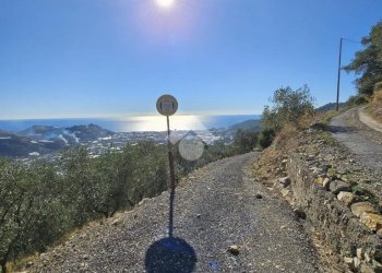 Agricultural land Regione Tuvi, Taggia - photo 2
