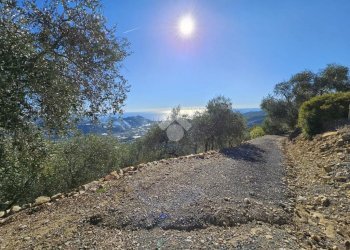 Agricultural land Regione Tuvi, Taggia - photo 3