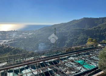 Agricultural land Regione Tuvi, Taggia - photo 9