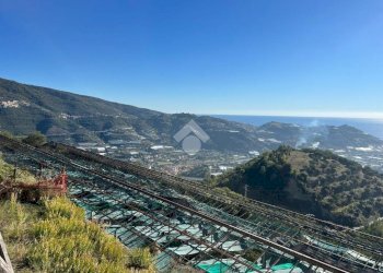 Agricultural land Regione Tuvi, Taggia - photo 10