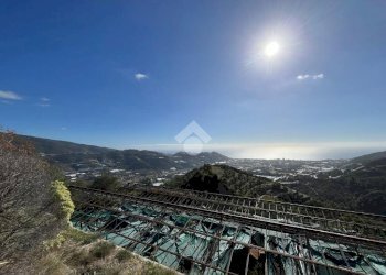Agricultural land Regione Tuvi, Taggia - photo 13
