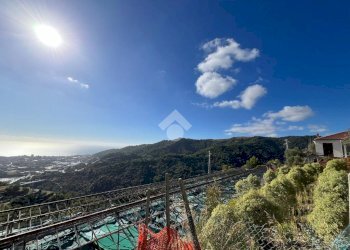 Agricultural land Regione Tuvi, Taggia - photo 14