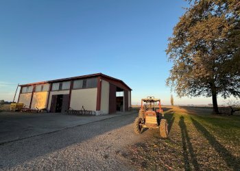 Casa Colonica Via Oriolo, 2, frazione Selva Malvezzi, Molinella - foto 38
