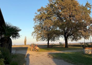 Casa Colonica Via Oriolo, 2, frazione Selva Malvezzi, Molinella - foto 11