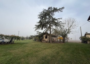 Casa Colonica Via Oriolo, 2, frazione Selva Malvezzi, Molinella - foto 12