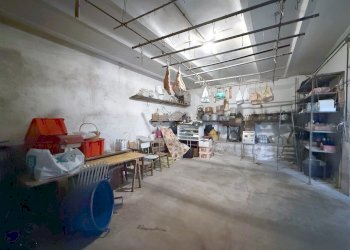 Casa Colonica Via Oriolo, 2, frazione Selva Malvezzi, Molinella - foto 36