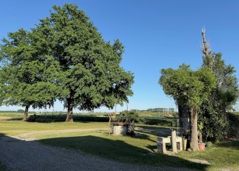 Casa indipendente Via Oriolo, 2, frazione Selva Malvezzi, Molinella - foto 17