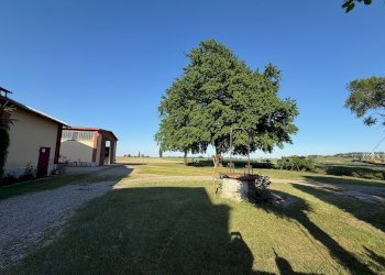 Casa indipendente Via Oriolo, 2, frazione Selva Malvezzi, Molinella - foto 8