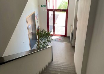 Capannone Via De Giudei, Argelato - foto 3