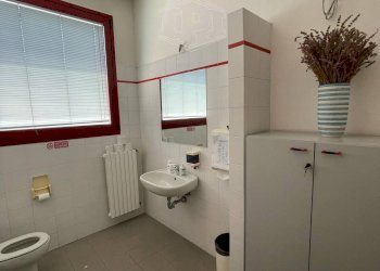 Capannone Via De Giudei, Argelato - foto 13