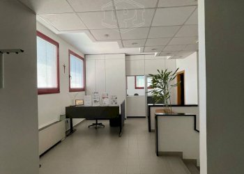 Capannone Via De Giudei, Argelato - foto 16