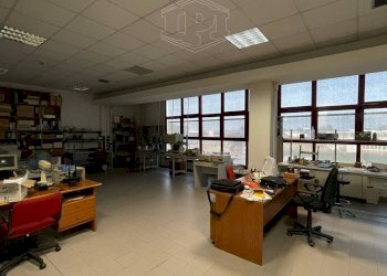 Capannone Via De Giudei, Argelato - foto 21