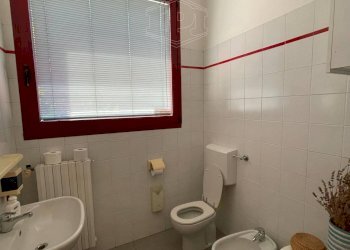 Capannone Via De Giudei, Argelato - foto 24