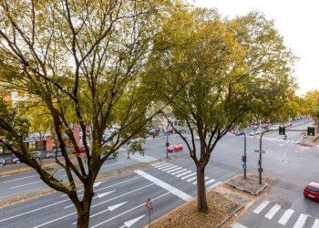 Bilocale Corso Francia, Torino (zona Parella) - foto 14