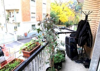 Trilocale Lungo po antonelli, Torino (zona Vanchiglietta) - foto 17