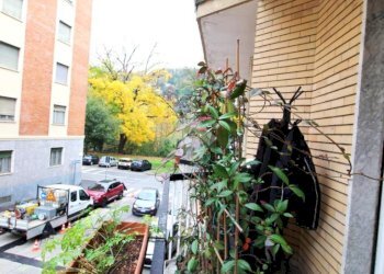 Trilocale Lungo po antonelli, Torino (zona Vanchiglietta) - foto 27