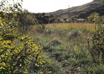 Foto 1 - Terreno agricolo Zona Collinare, ragnola, San Benedetto del Tronto - foto 1