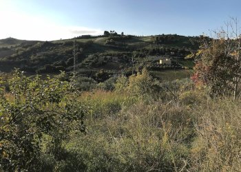 Foto 2 - Terreno agricolo Zona Collinare, ragnola, San Benedetto del Tronto - foto 2