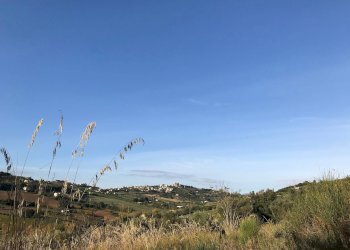 Foto 4 - Terreno agricolo Zona Collinare, ragnola, San Benedetto del Tronto - foto 4