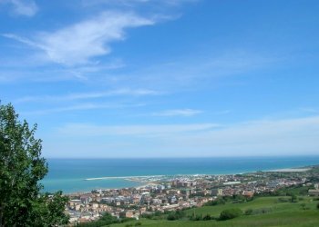 Foto 8 - Terreno agricolo Zona Collinare, ragnola, San Benedetto del Tronto - foto 7