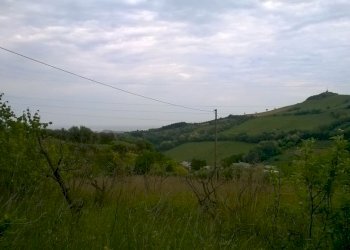Foto 9 - Terreno agricolo Zona Collinare, ragnola, San Benedetto del Tronto - foto 8