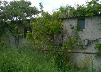 Foto 12 - Terreno agricolo Zona Collinare, ragnola, San Benedetto del Tronto - foto 9