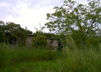 Foto 13 - Terreno agricolo Zona Collinare, ragnola, San Benedetto del Tronto - foto 10