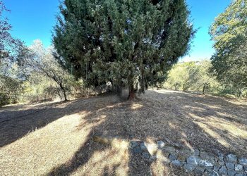 Foto 24 - Villa Via Costa da Moglia, Arnasco - foto 24