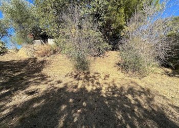 Foto 25 - Villa Via Costa da Moglia, Arnasco - foto 25